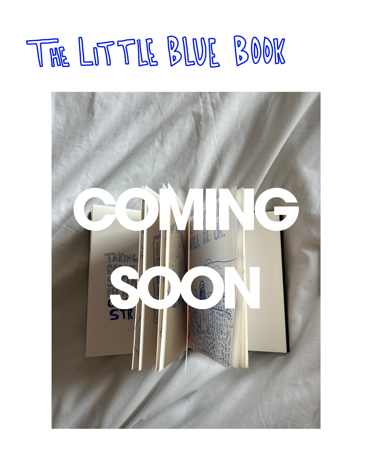 The Little Blue Book